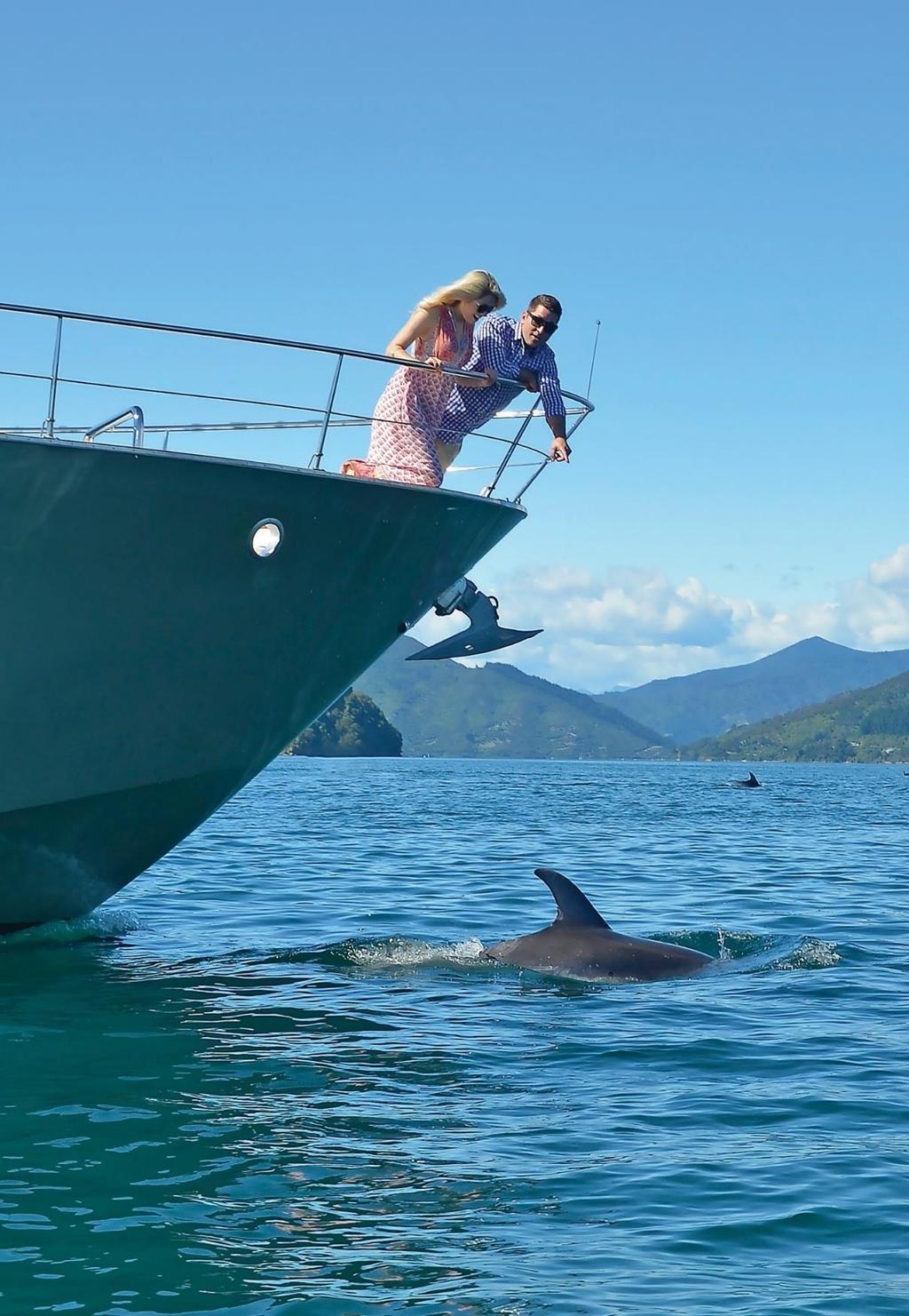 IMMERSE YOURSELF Cruise the endless bays and coves of the Marlborough Sounds, a fabulous enclosed waterway offering over 1,500 kilometres of coastline that s 10% of New Zealand s seashore.