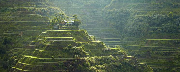 The Rice Terraces, Philippines Bohol, Cebu, & the Rice Terraces - 14 Days Visiting: Manila Bohol