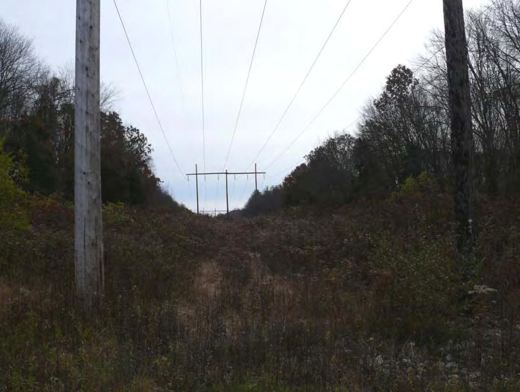 Photo 33: View southeast of transmission line from Card Street Road in Lebanon, Connecticut.