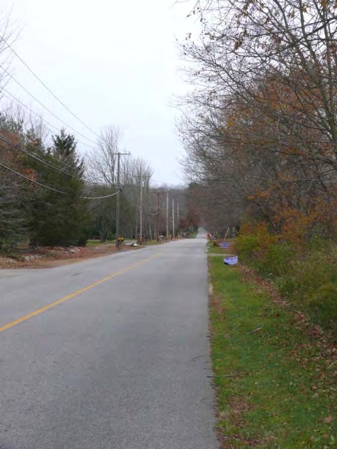 Photo 42: View east on Plains Road in 