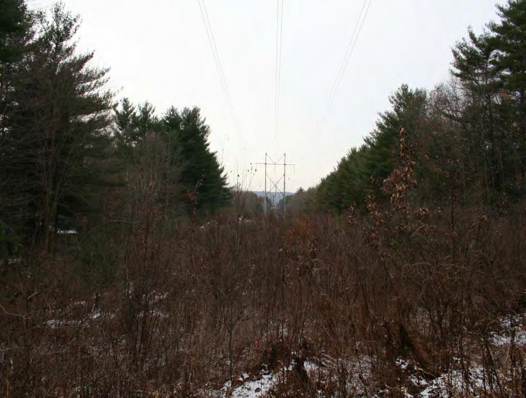 Photo 11: View north of transmission line from Bassetts Bridge Road in Mansfield, Connecticut near Hawthorne Lane.
