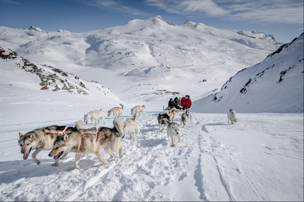 There are two guests per sled, as well as the Local Musher who is in charge of the Huskies.
