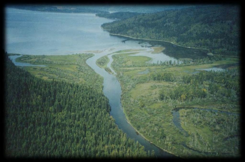 Figure 3: Picture of Horsefly Bay Site 2.0 Values and Roles of the Quesnel Lake Park 2.