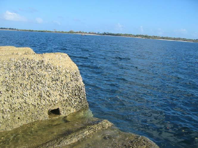 tidal regime for Dar es Salaam port. 3.