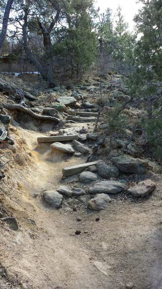 A paved drain was installed further up-trail to protect these repairs. Palmer Point Trail: 165 linear feet of gully (2 gullies) stabilized. 10 rock check-dams constructed.