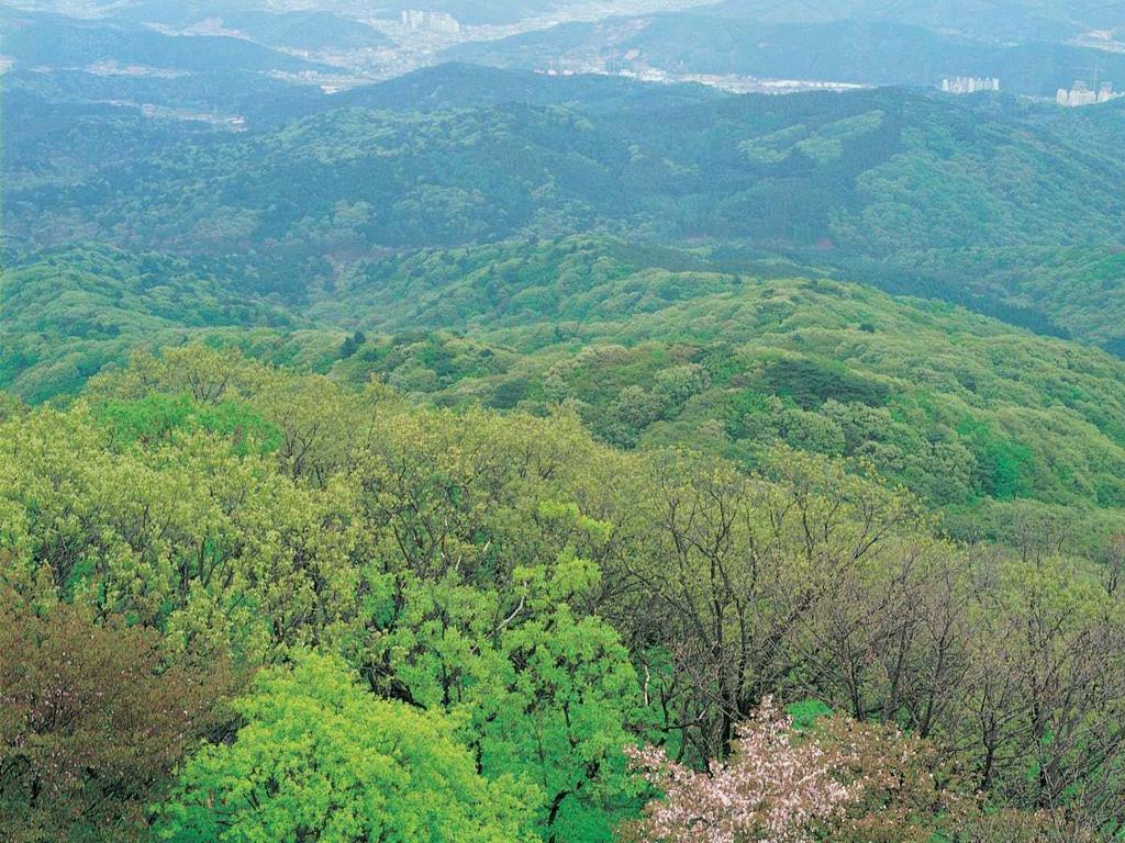 4) Gwangneung Forest BR (2010, 244.65 km2 ) - Core Area : 7.