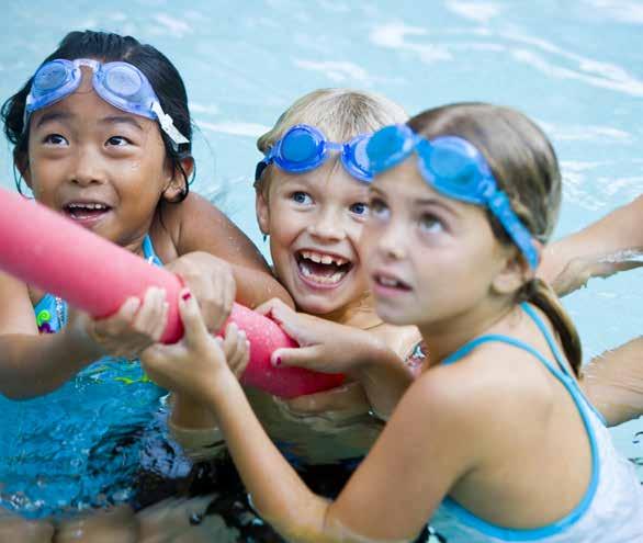 Swimming Holiday Timetable &