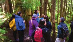Hike through the beautiful old growth forest, and learn about botanic species native to this region.