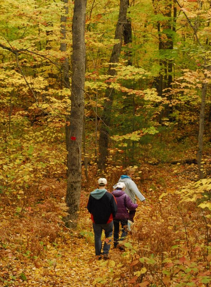 The Beaver Lake trail will take you through a low-laying hardwood forest