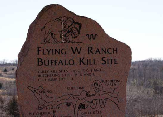 At this site, the Plains Indians stampeded herds of bison over a cliff and into a canyon as an efficient means of slaughter.
