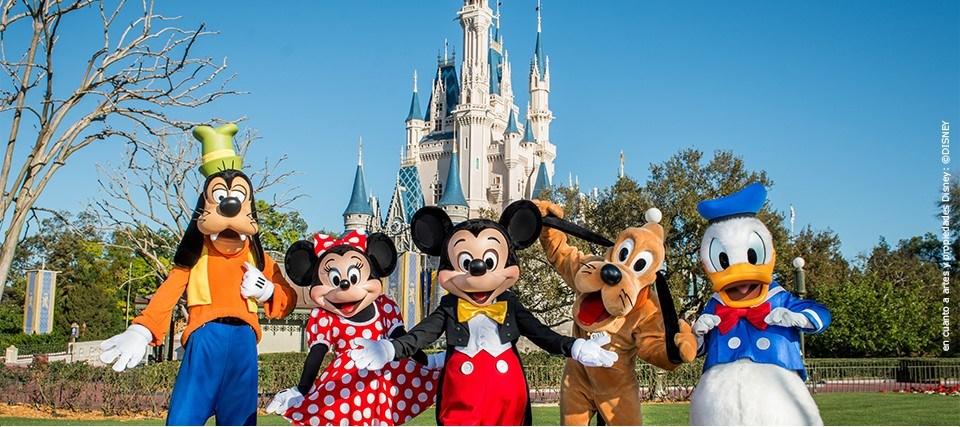 Disney World: November 11-18, 2017 $3,500 Join Camp Fairlee on a magical adventure to the happiest place in the world!