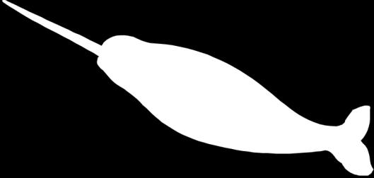Belugas: K-1 st -2 nd Narwhals: 3 rd -4 th Orcas: 5 th -6 th Instructors will have a roster of names for each group.