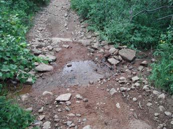 Due to the porous nature of the trail bed, any water within this section of trail will seep into the ground relatively quickly and not affect the trail