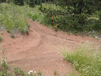 - Close and rehabilitate 200 feet of the existing Trail #667 dead-end spur (this would include the Forest Service closing off the entrance to the
