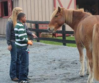 Equine Learning In addition to our recreation activities, ThorpeWood also provides the opportunity to participate in our Equine Assisted Learning program.