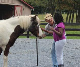 human participants. By examining equine behavior, and how the horses may or may not react to us, we can better understand what may be more effective in our own human relationships.