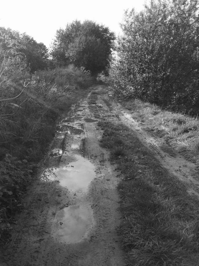 It is entirely possible that historically there was no hard surfaced towpath along this section. This has led to it being very muddy and rutted, even during summer.