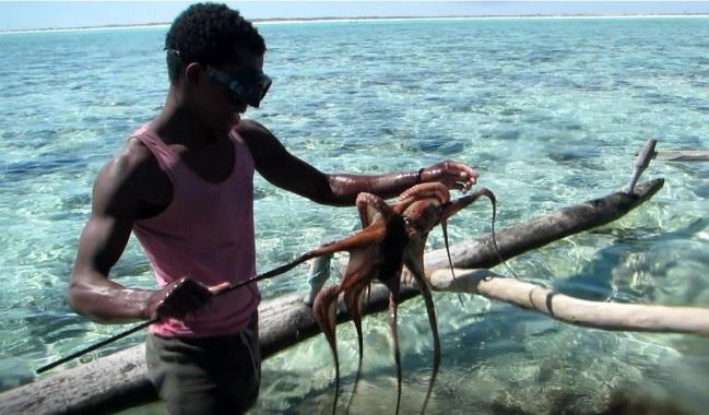 Reopening of the octopus reserve Since 2008, the Wildlife Conservation Society has been supporting the Soariake MPA in SW Madagascar with the aim of protecting the site s biological, ecological and