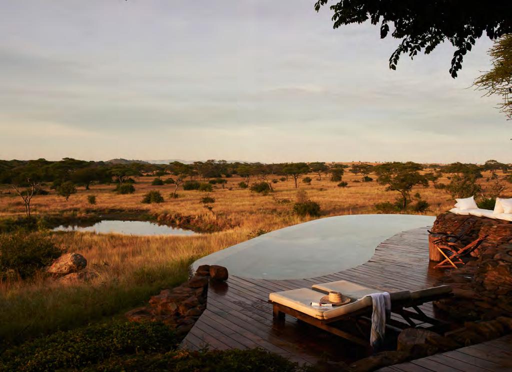 Elements of surprise Built on a gently sloping hill, this riverine lodge