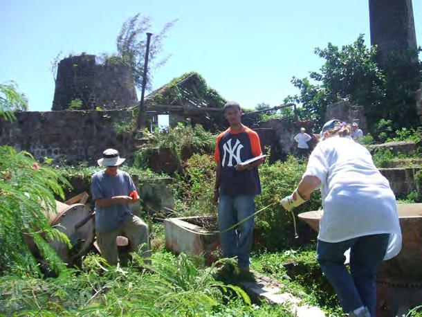 2008 Caribbean Volunteer Expeditions Newsletter Five volunteers helped document and measure the ruins at the Hamilton Estate in