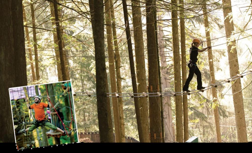 aerial trekking course The Aerial Trekking Course is our signature team building element, featuring a massive series of obstacles set high amongst the forest s canopy.