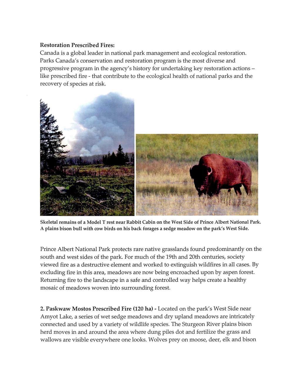 Restoration Prescribed Fires: Canada is a global leader in national park management and ecological restoration.