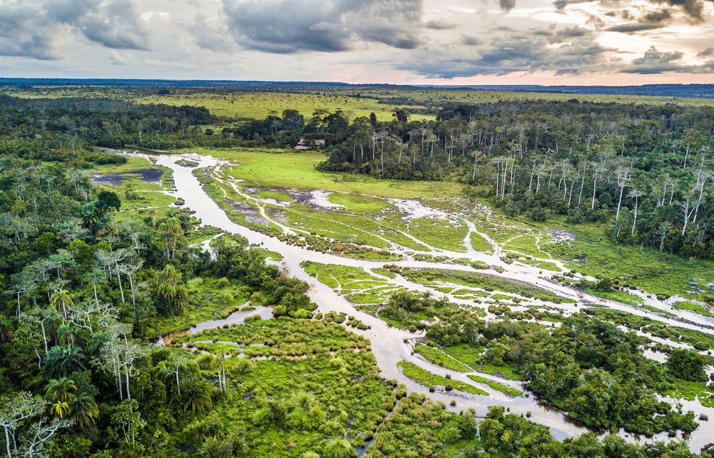 CONGO CONSERVATION COMPANY Dense, complex and remote, the 4-million-square-kilometre Congo Basin is perhaps the continent s least explored wilderness.