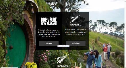 Slika 2: Vstopna spletna stran Nove Zelandije