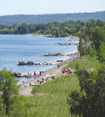 Confederation Beach Park Do it all or just a little at Confederation Beach Park! The area stretches 93 hectares along Lake Ontario and offers swimming, biking, birding, picnicking and more!