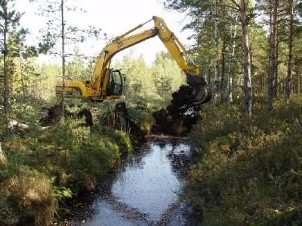 HYDROPLAN LIFE Forest Habitat Restoration within the Gauja