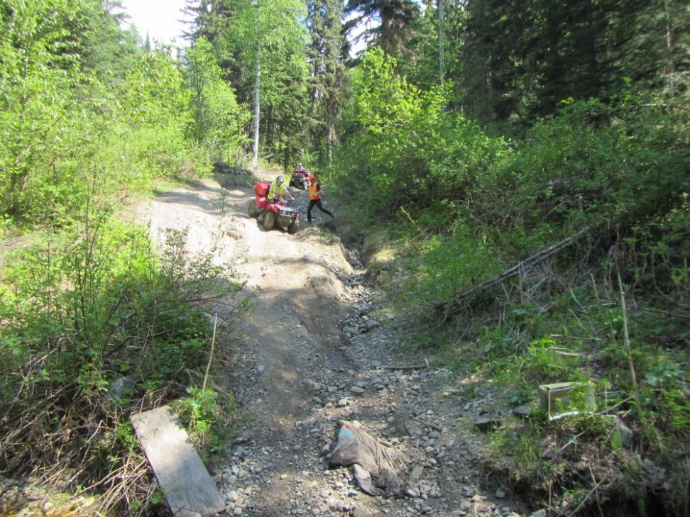 Burgess Trail and Crossing Old Trail