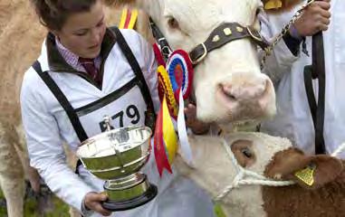 Eastland Rashibrea British Charolais Cattle Society breed Champion: Dorset-based Mr and Mrs A White s