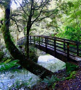 Traversing native forests, tussock tops, river flats and valleys, it connects the old dray Lyell Historic Walkway road in the Lyell to the Mokihinui River in the north.