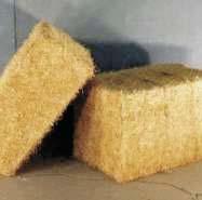 Hay & Straw Bales for the