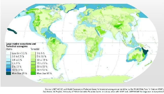 Degree of protection of terrestrial ecoregions and large marine