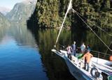 The days adventure begins with a crossing of Lake Manapouri and a coach trip over Wilmot Pass to Deep Cove where you board the Breaksea Girl.
