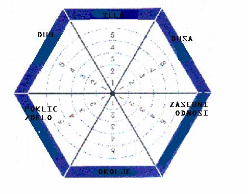 9 Slika 1 Wellness barometer Z barometrom je prikazano kako se z različnimi kombinacijami wellness strategij in pripadajočimi instrumenti doseže in pospeši maksimalno zadovoljstvo vsakega posameznika