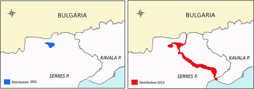 Current golden jackal status in Greece - from a low population point to an ongoing recovery - Results 1-2 groups