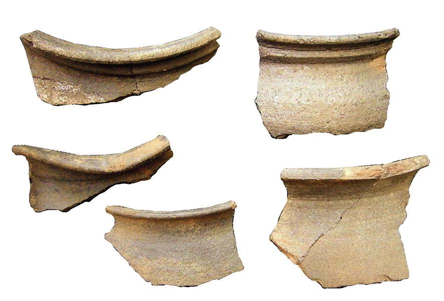 0 3 cm 5 pav. Pypkių dalys: molinė galvutė ir kaolininis kotelis (perkasa 1). M. Vitkūno nuotr. Fig. 5. Pipe parts: a clay bowl and a kaolin stem.