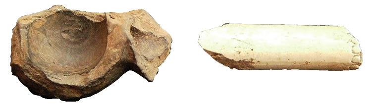 Perkasoje, permaišytos žemės sluoks ny je buvo daug buitinės keramikos frag mentų (2 pav.