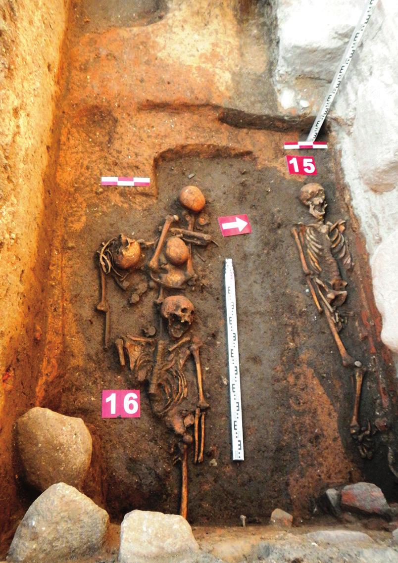 Šalia pastarosios sankaupos aptiktos suardyto kapo įkapės, būdingos XV a. žalvarinis žvangutis ir akmeninis galąstuvas (17 pav.).