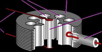 Nastali kolobarji so še vedno odvisni od višine od dna pečice. Točen videz je odvisen tudi od modela mikrovalovke, torej, od konstrukcije mikrovalovke. 4.2.