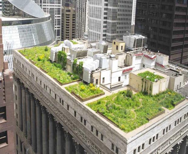 Zelené strechy Paríž, Francúzsko (2016) Nové budovy v obchodných zónach Paríža obchody, úrady a reštaurácie, musia mať buď solárne panely alebo zelené strechy.