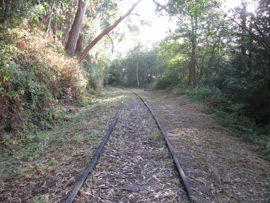 Photo 9: Shay Park along railroad alignment, trail would cut