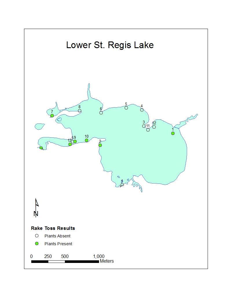 Map 57: Rake toss locations on Lower St. Regis Lake, 12 June, 2012.