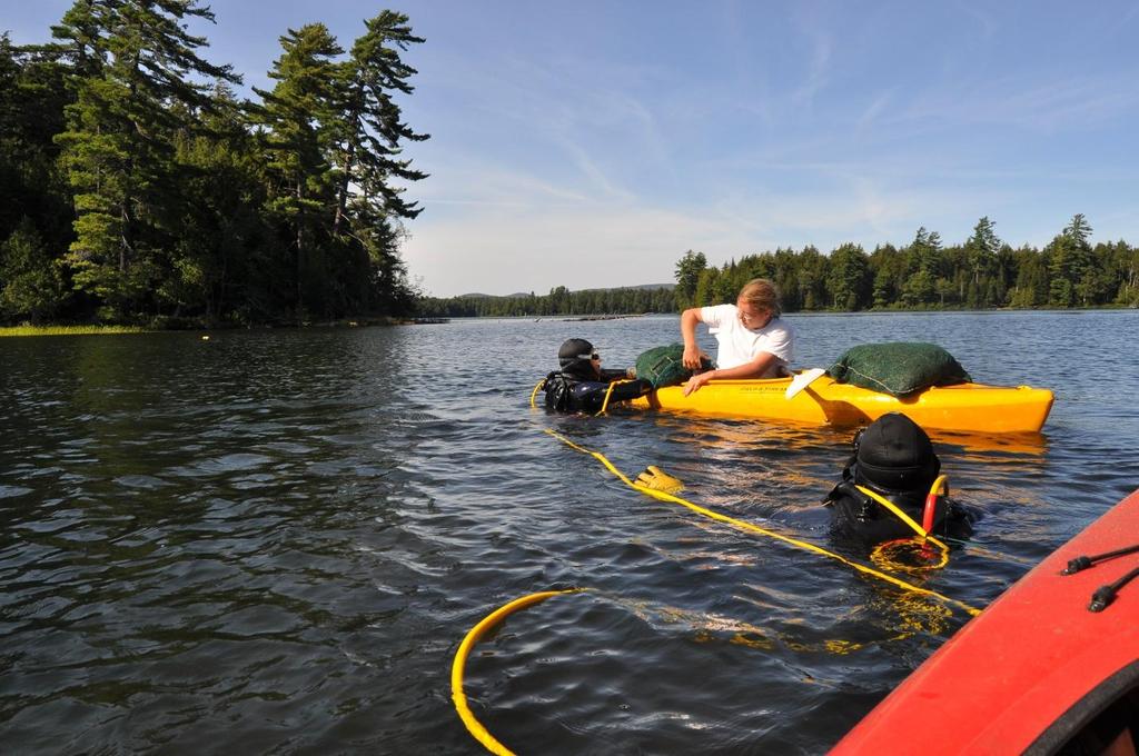 Photo 6. Rapid response management team hand harvesting Eurasian watermilfoil in the Fulton Chain.