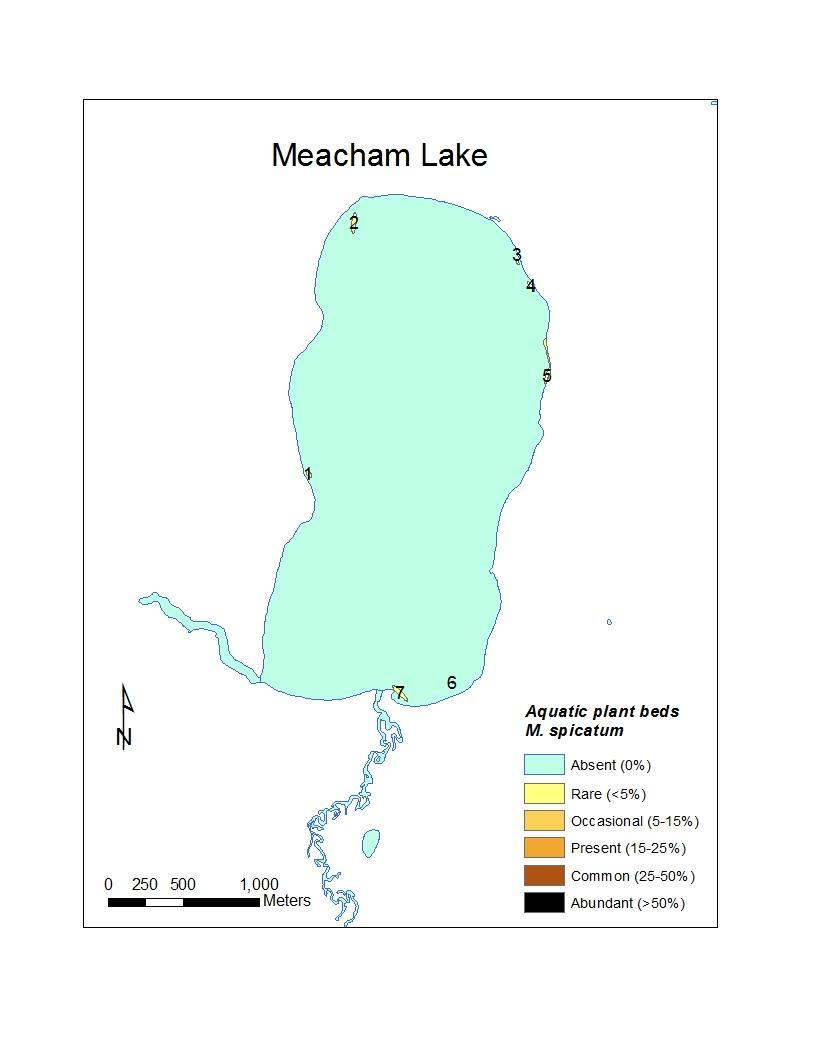 Map 61 Location of the aquatic plant beds detected in Meacham Lake containing Myriophyllum spicatum
