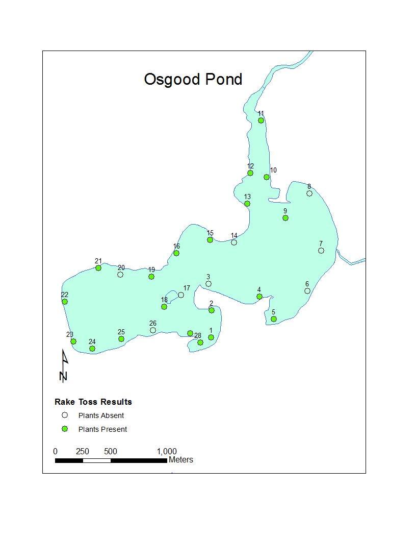 Map 72: Rake toss locations on Osgood Pond, 24 Aug, 2012.