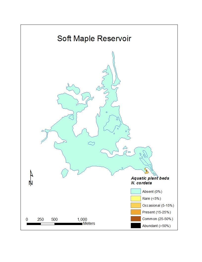 Map 99: Location of the Nymphoides cordata beds detected in Soft Maple Reservoir during the