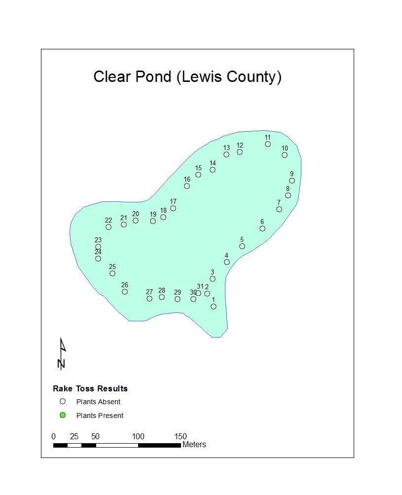 Map 23: Rake toss locations on Clear Pond (Lewis County), 25 July, 2012.